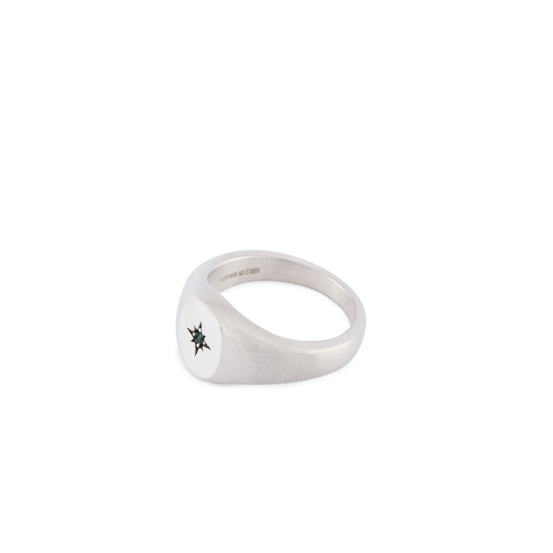 Silver Envy Signet Ring