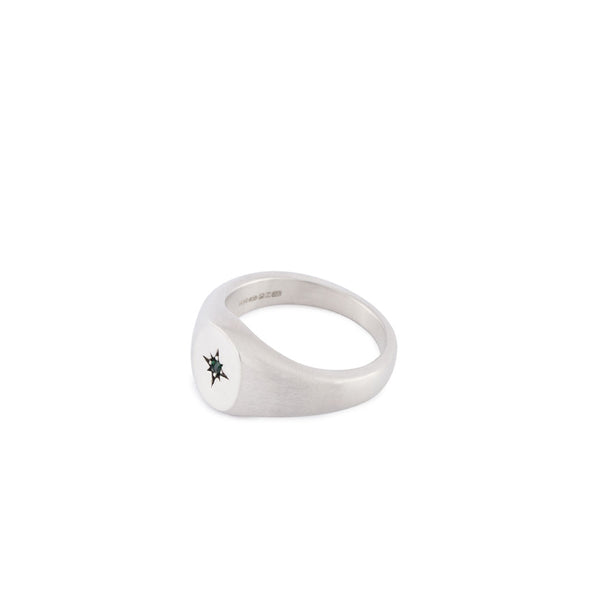 Silver Envy Signet Ring
