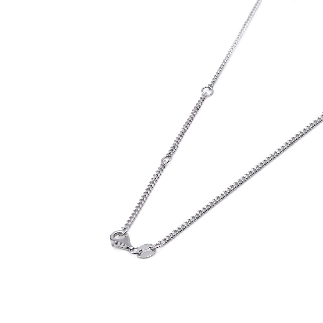 Silver Guardian Necklace