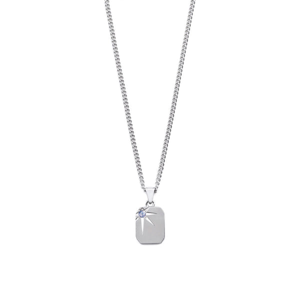 Silver Guardian Necklace